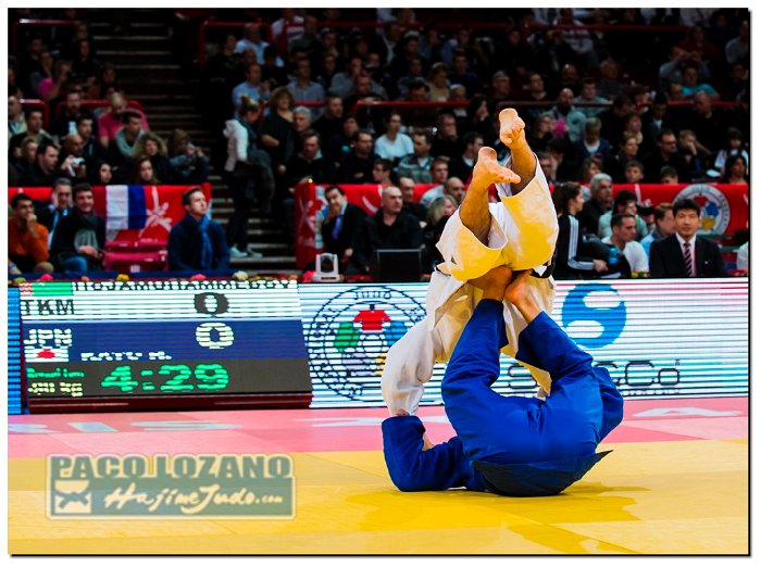 Paris 2014 by P.Lozano cat -90 kg_PLM3234